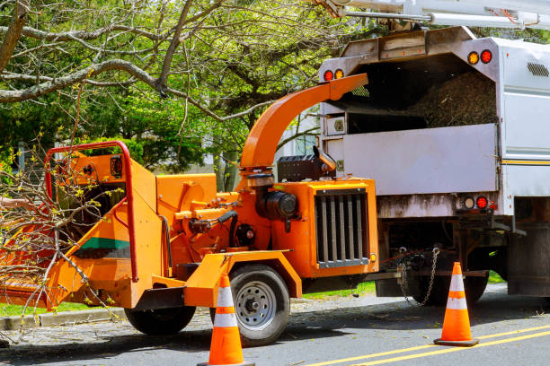 Best Tree Branch Trimming  in Seaville, NJ